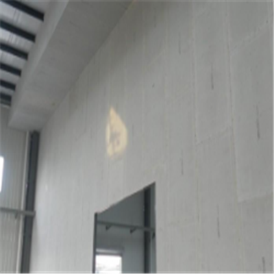 铁法宁波ALC板|EPS加气板隔墙与混凝土整浇联接的实验研讨